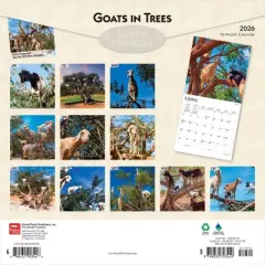 BrownTrout 2026 Goats in Trees 12"x24" Hanging Square Wall Calendar Plastic-Free