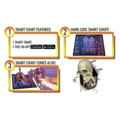 Flipo Interactive Laminated Human Anatomy Smart Chart STEM Toy for Girls & Boys - App Compatible