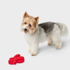 Tough Rubber Balloon Plush Dog Toy - Boots & Barkley&trade; Red