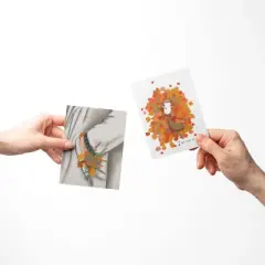 Fall Pocket Flowers, Fall Dog Walk, Chipmunk Fall/Autumn Greeting Card Pack Sets (3 ct, Assorted) by Ramus & Co