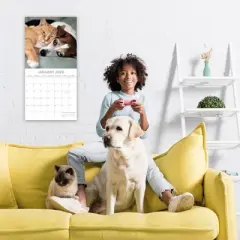 2026 Square Wall Calendar, Cats & Kittens, 16-Month Animals Theme with 180 Reminder Stickers (12x12 In)