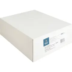 Business Source Regular Tint Peel/Seal Envelopes