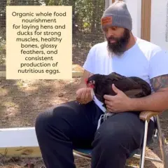 Natures Grown Organic Poultry Chick Grower 16% Layer Mash