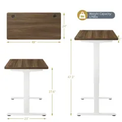 Costway Electric Adjustable Standing up Desk Dual Motor w/ Controller