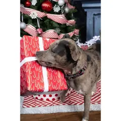 Country Brook Petz&reg; Martingale Collar and Leash - Plaid and Argyle Collection