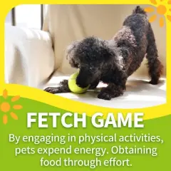 Allforpaws Interactive Dog Toy Fetch-N-Treat Dog Toy for Traning/Enrichment