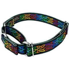 Country Brook Petz Celtic Pride Martingale Dog Collar and Leash