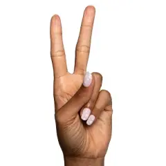 Olive & June Press-On Fake Nails - Extra Short Round Flower Shower - 42ct