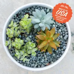 ARQLITE&nbsp;Smart Gravel Eco Friendly Plant Drainage for Healthy Roots