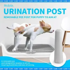 Allforpaws Dog Pee Pad Holder, Indoor Dog Potty Tray for Trainin, 24.8 x 24.8 x 5.9 Inch