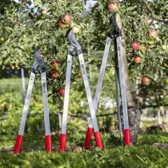 FELCO 221-80, 32in. Long Reach Lopper for Trees/Orchards, I-Beam Handles, Ultra Light