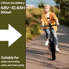 Electric Bike for Adults,20" x 4.0 Fat Tire Folding Ebike,500W 48V Removable Battery and 7-Speed Gears Ideal for Commuting