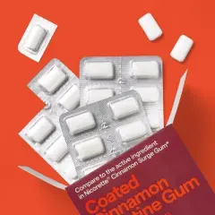 Coated Nicotine 4mg Gum Stop Smoking Aid - Cinnamon - up&up&trade;