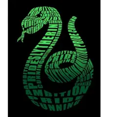 Harry Potter Graphic Slytherin Snake Emblem Black T-shirt Toddler Boy to Youth Boy