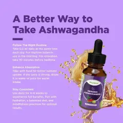 Organic Ashwagandha Liquid Drops for Adults, Potent Liquid Ashwagandha Root Extract for Energy and Mood Support, Phytoral, 120 servings