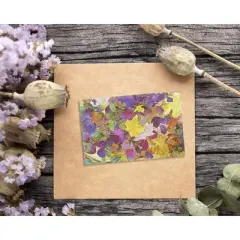 Best Paper Greetings 48 Pack All Occasion Blank Greeting Cards and Envelopes Set,&nbsp;5 Fall&nbsp;Designs, 4x6 In