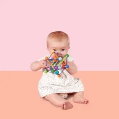 Manhattan Toy Skwish Color Burst Rattle and Teether Grasping Activity Toy (Boxed)