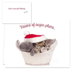 25ct Christmas Cats Greeting Cards - Masterpiece Studio