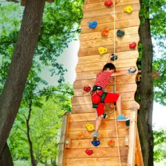 VEVOR 25 Rock Climbing Holds, Multi-Size and Multi-Colored Climbing Rocks for Kids and Adults, Rock Wall Holds with Mounting Hardware