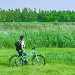 HILAND Oasis 26" Women's Mountain Bike, 21 Speeds