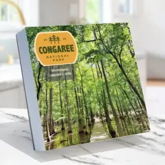 TF Publishing 8.75"x5.5" 2026 365 National Parks Daily Desktop Calendar