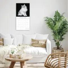 2026 Square Wall Calendar, Cat Shaming, 16-Month Humor Theme with 180 Reminder Stickers (12x12 In)