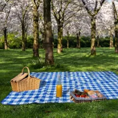 Tirrinia 59"x79" Picnic Blanket, Outdoor Waterproof Lightweight Windproof Extra Large Blanket, Foldable Camping Blanket