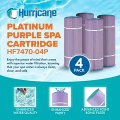 Hurricane 8 Pack HF7470-04P Platinum Purple Pool Filter Cartridge Replacement for PCC80, Unicel C-7470, Filbur FC-1976, Pentair Clean & Clear 320