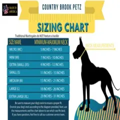 Country Brook Petz Just Ducky Martingale Dog Collar