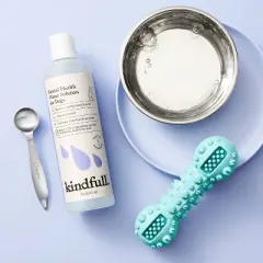 Dental Health Solution for Dogs - 16 fl oz - Kindfull&trade;