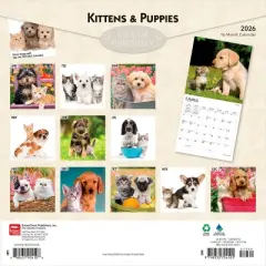 BrownTrout Kittens and Puppies 2026 12"x24" Hanging Square Wall Calendar Plastic-Free