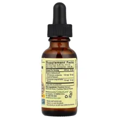 CHILDLIFE ESSENTIALS Liquid Echinacea for Kids - Immune Booster for Kids, All-Natural, Gluten-Free, Allergen-Free, Kids Echinacea Drops - Natural
