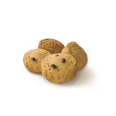 Three Dog Bakery Bitty Bites Carob Chip Peanut Butter and Vanilla Dry Chewy Dog Treats - 13oz