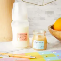 Stockroom Plus 500 Piece Removable Baby Food Bottle Labels for Daycare, 25 Sheets, 10 Colors