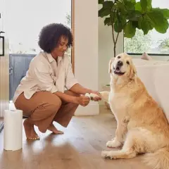 Reel Paper Bamboo Paper Towels