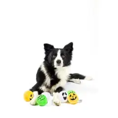 Midlee Silly Face Halloween Balls Plush Dog Toy
