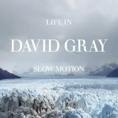 David Gray - Life in Slow Motion (20th Anniversary Edition) Blue (Colored Vinyl Blue Anniversary Edition)