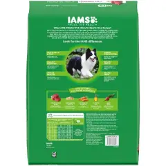 IAMS Proactive Health Minichunks Beef and Rice Flavor Recipe Adult Dry Dog Food - 15lbs