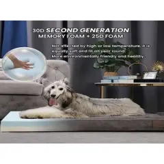 Laifug Orthopedic Memory Foam Minimalist Pet Dog Bed with Removable Cover and Waterproof Liner