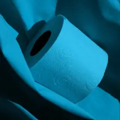 Evideco French Home Goods 3-Ply 140-Sheet Blue Toilet Paper Refreshing Nautical Bulk Sandalwood-Scented Rolls