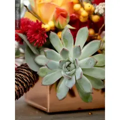 Gardener's Supply Company Rectangular Copper Plant Tray | 24" x 5" Leakproof Planting Pot for Houseplants & Succulents | Holiday Centerpiece Display