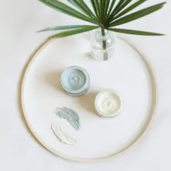 Little Seed Farm All-Natural Deodorant Cream (2.4 oz) | Aluminum-Free, Unscented Deodorant for Women & Men