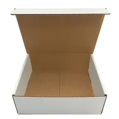 UBMOVE Bulk Pack of 50 White Corrugated Mailer and Literature Boxes (9" x 6.5" x 1.75")