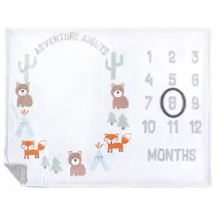 Hudson Baby Infant Boy Plush Holiday and Milestone Blanket, Adventure Awaits, One Size