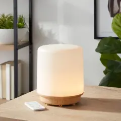 300ml Frosted Cylinder Form Diffuser with Remote - Project 62&trade;