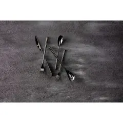 5pc Stainless Steel Dragonfly Silverware Set Black - Fortessa Tableware Solutions: Flatware Set, Matte Black, Service for 1