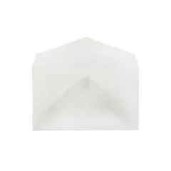 JAM Paper 2Pay Translucent Vellum Envelopes 2.5 x 4.25 Clear 900767740