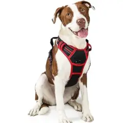 rabbitgoo Dog Harness No Pull with 2 Leash Clips, Control Handle for Large Dogs, Black & Red, L