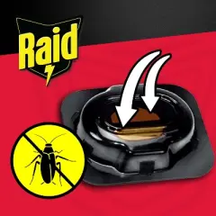 Raid Small Roach Baits and Indoor Roach Killer - 12ct