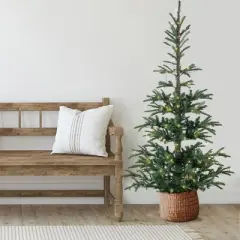 Northlight Real Touch&trade;️ Pre-Lit Pencil Nordmann Fir Artificial Christmas Tree - 6.5' - Warm Clear LED Lights